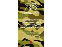 День защитника Отечества.