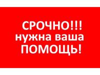 Внимание! Срочно нужна помощь!
