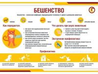 Вакцинация питомцев для профилактики зоонозных инфекций