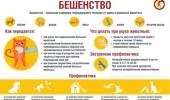 Вакцинация питомцев для профилактики зоонозных инфекций