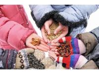 Акция "Кормушка для птиц"