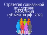 Общественный обзор «Стратегия социальной поддержки населения субъектов РФ – 2023»