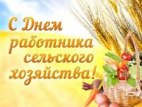 День работников сельского хозяйства