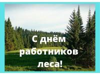 #День работников леса РК