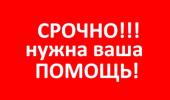 Внимание! Срочно нужна помощь!