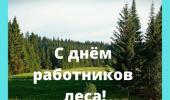 #День работников леса РК #День работников леса РК