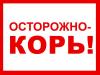 Осторожно КОРЬ